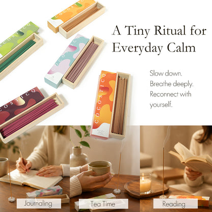 COCOSTICQ Japanese Luxury Incense Sticks for Relaxation & Self-Care – Elegant Low Smoke Home Fragrance, Mango, Wine, Cherry Blossom, Green Tea, Mandarin Orange