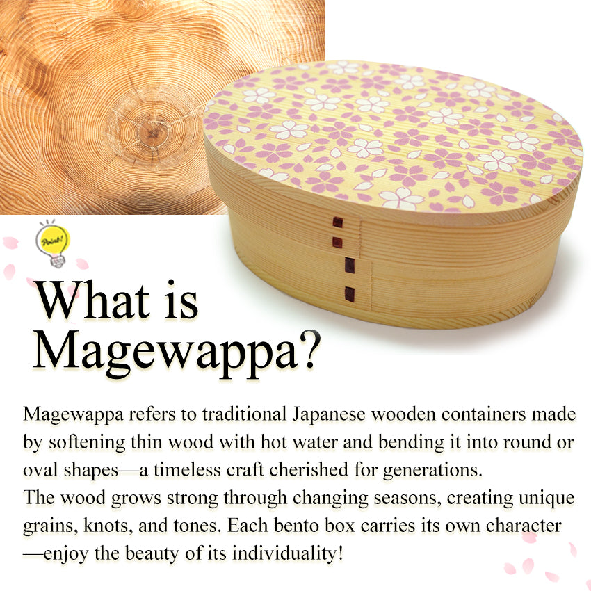 Magewappa Wooden Lunch Box Cherry blossoms