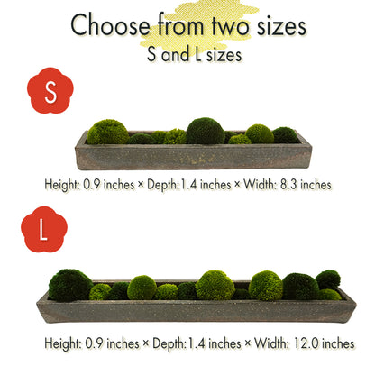 Japanese Shigaraki Pottery with Faux Moss – Zen-Inspired Decorative Piece
